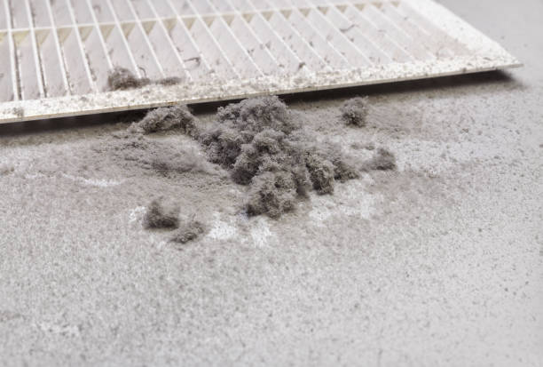 Best Affordable Air Duct Cleaning  in Niceville, FL