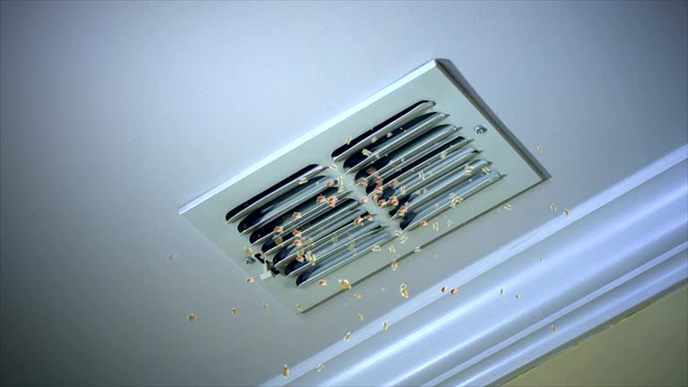 Ductwork Cleaning Services in Niceville, FL
